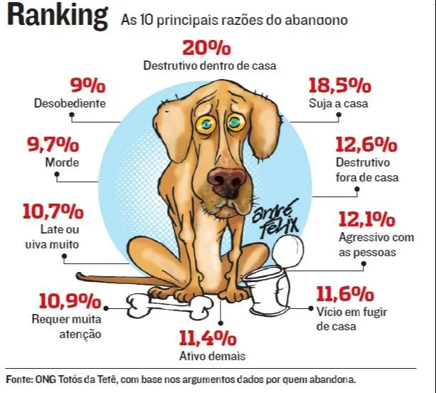 Imagem ilustrativa da imagem As 10 principais razões que as pessoas abandonam animais de estimação