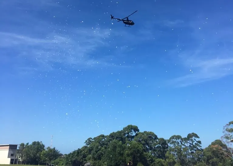 Imagem ilustrativa da imagem Pétalas são jogadas de helicóptero no enterro de piloto