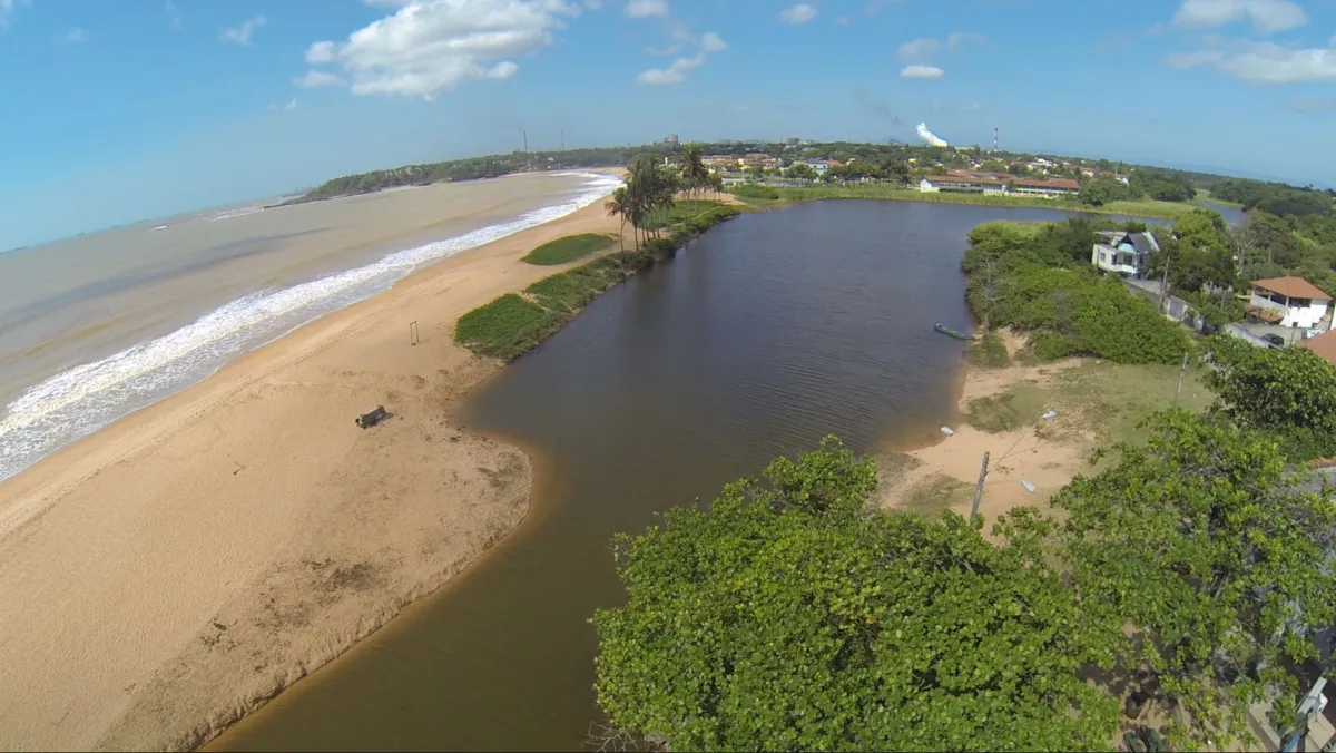 Imagem ilustrativa da imagem Altas temperaturas e matéria orgânica acumulada podem ser causa de morte de peixes em lagoa na Serra