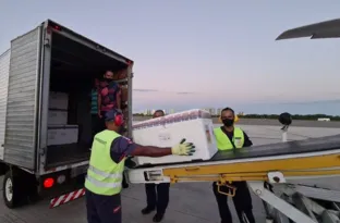 Imagem ilustrativa da imagem Um passo no caminho da esperança