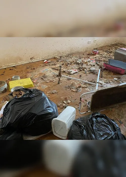 Imagem ilustrativa da imagem "Apartamento da Morte": animais ficaram mais de um mês sozinhos, diz ex-síndico