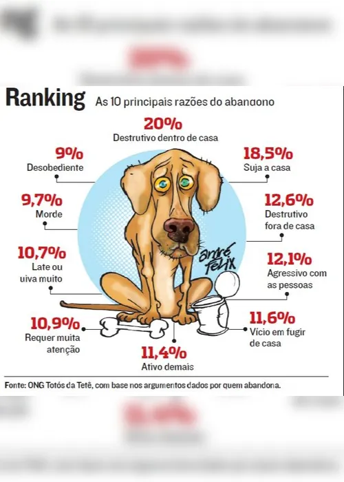 
          Imagem ilustrativa da imagem As 10 principais razões que as pessoas abandonam animais de estimação
          