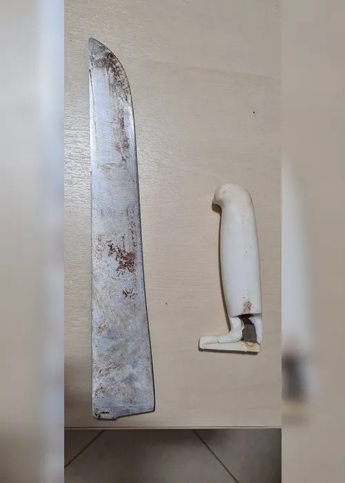 Imagem ilustrativa da imagem Acusado de matar a ex-mulher com golpe de facão é preso e confessa crime