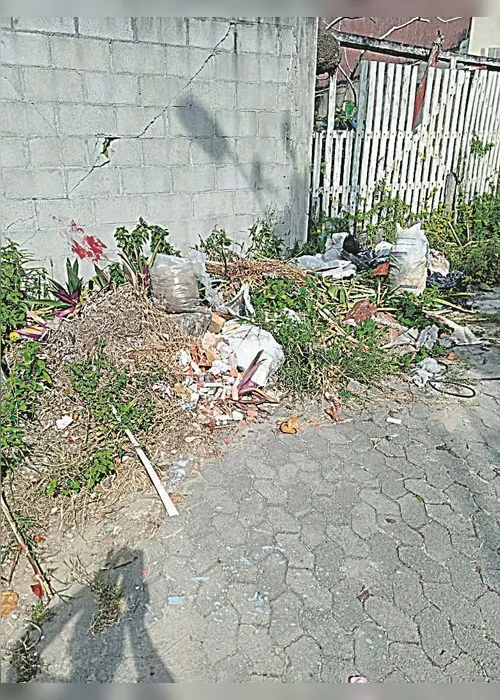 
          Imagem ilustrativa da imagem Lixão a céu aberto
          