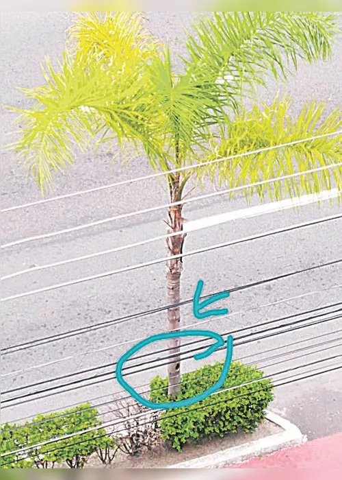 
          Imagem ilustrativa da imagem Sujeira acumulada em praia
          