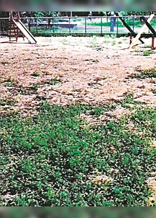 
          Imagem ilustrativa da imagem Limpeza de praça
          