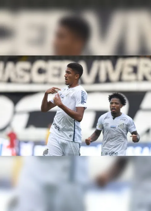 Imagem ilustrativa da imagem Santos vence o Botafogo e afunda cariocas na lanterna do Brasileiro