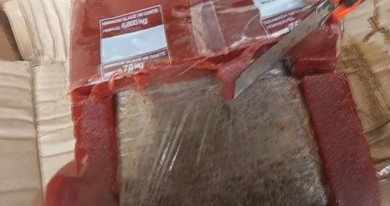 A carga, que seria embarcada para a Antuérpia, foi interceptada por fiscais da Alfândega da Receita Federal (Foto: Divulgação/ Receita Federal)