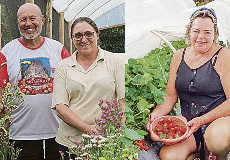 Adelson e Derlene decidiram cultivar flores, enquanto Ormy e a família apostam no cultivo de  morangos
