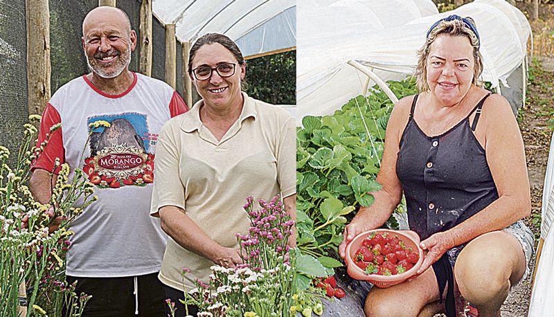 Adelson e Derlene decidiram cultivar flores, enquanto Ormy e a família apostam no cultivo de morangos (Foto: Roberta Bourguignon / AT)