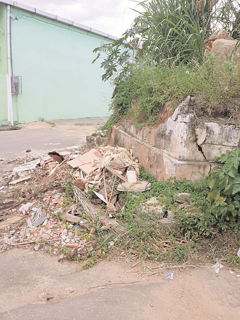 Ângelo Zani é uma das ruas que não recebem limpeza há vários meses (Foto: Marcelo Mendes Blunck)