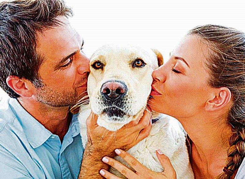 Os animais de estimação são como filhos para muitos casais, mas eles preferem ser tratados como pets (Foto: Divulgação)