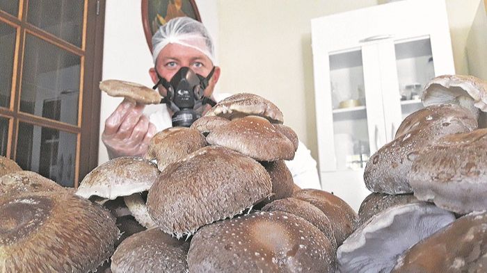 Victor Lossêgo quer aumentar produção de 130 kg para 600 kg ao mê (Foto: Acervo Pessoal)