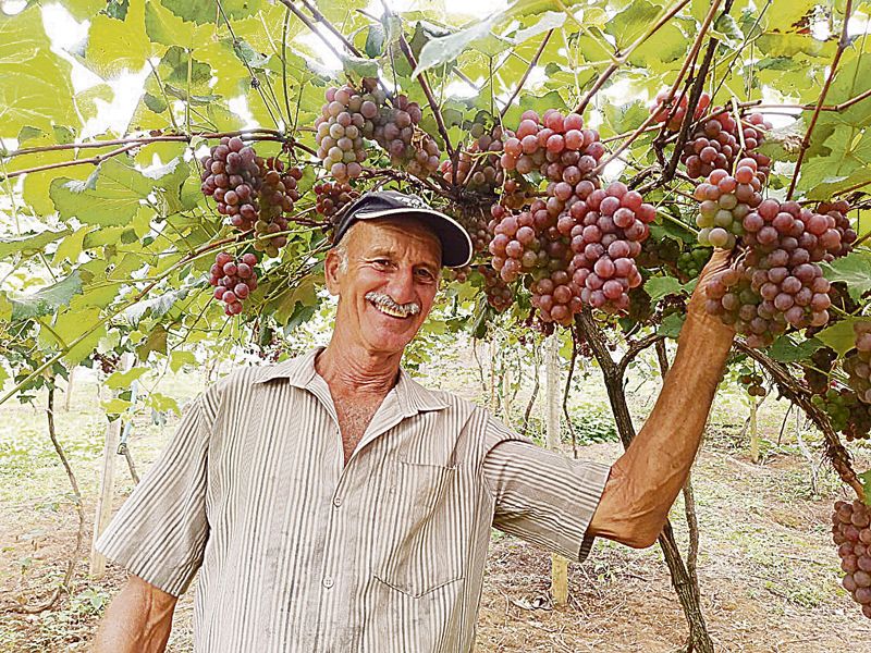 Helio Liebe: orgulho da produção (Foto: Roberta Bourguignon / AT)