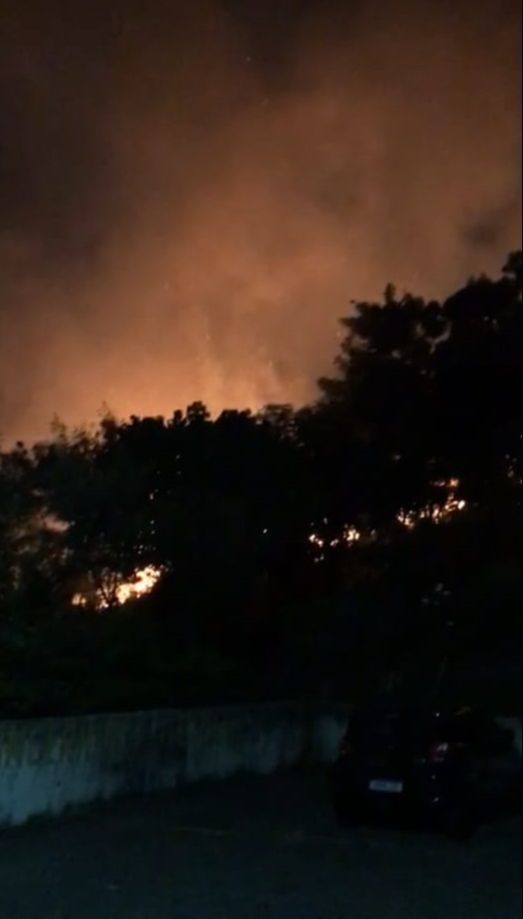 Incêndio no Morro da Gamela, em Vitória (Foto: Enviada por WhatsApp)
