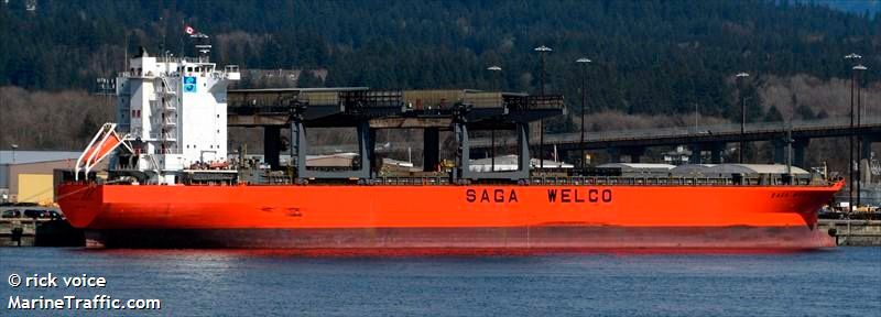 Navio Saga Morus (Foto: Divulgação / MarineTraffic.com)