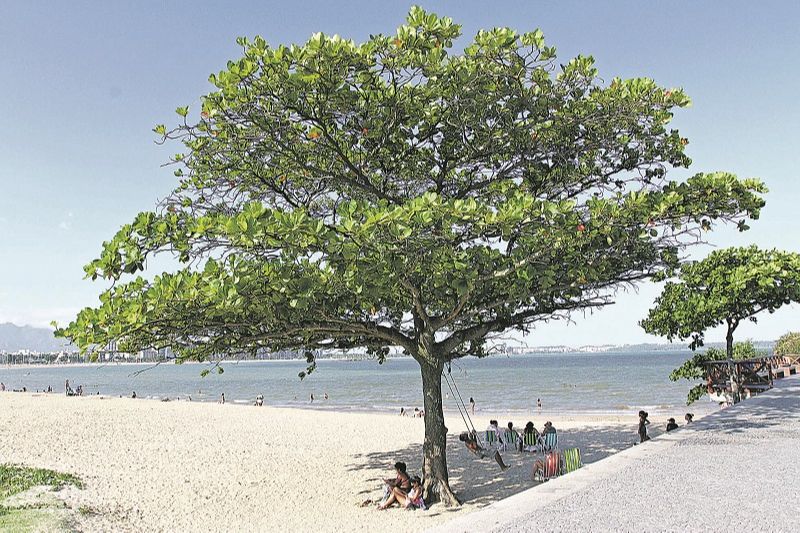Praia de Camburi (Foto: Leone Iglesias/AT)