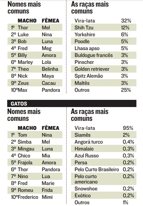 Imagem ilustrativa da imagem Quais foram os nomes preferidos para pets em 2020? Veja a lista