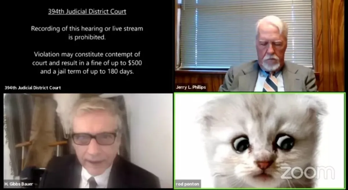 Imagem ilustrativa da imagem Advogado usa filtro de gato em audiência virtual e vídeo viraliza