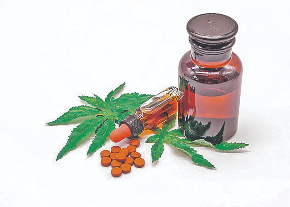 Imagem ilustrativa da imagem Novos remédios à base de maconha