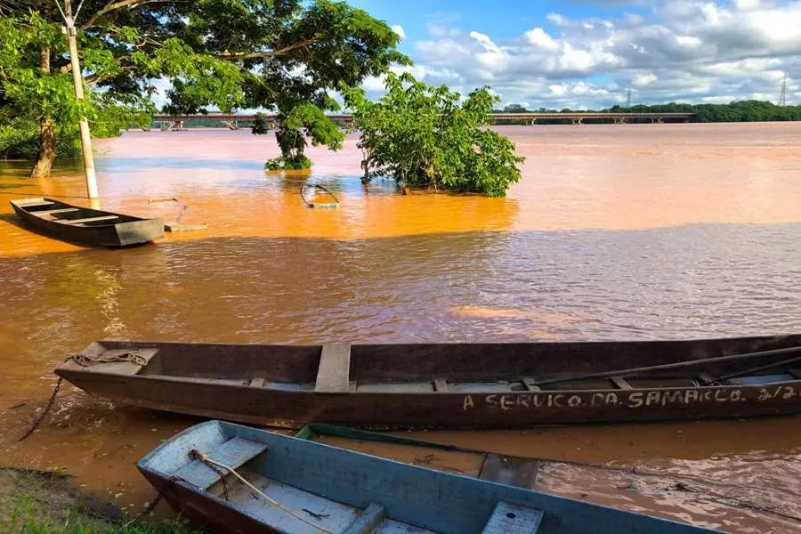Imagem ilustrativa da imagem Rio Doce ultrapassa a cota de inundação em Linhares