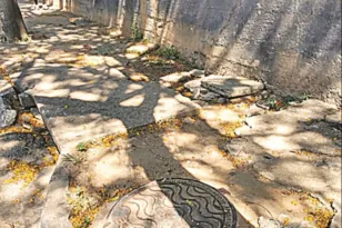 Imagem ilustrativa da imagem Risco diário para os pedestres