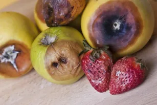 Imagem ilustrativa da imagem Queda de cabelo, cansaço, necessidade exagerada por doces? Você pode estar com síndrome fúngica