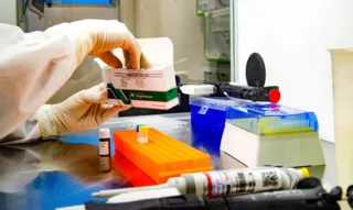 Imagem ilustrativa da imagem Combate à epidemia da mentira