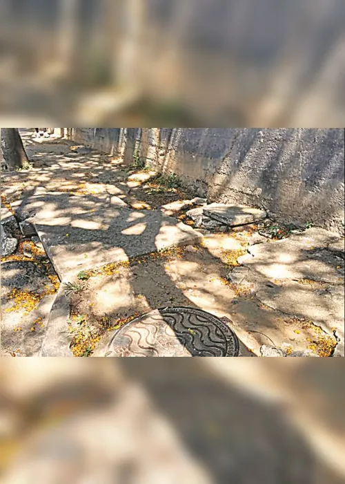 
          Imagem ilustrativa da imagem Risco diário para os pedestres
          