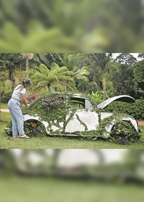 Imagem ilustrativa da imagem Fusca vira item de decoração