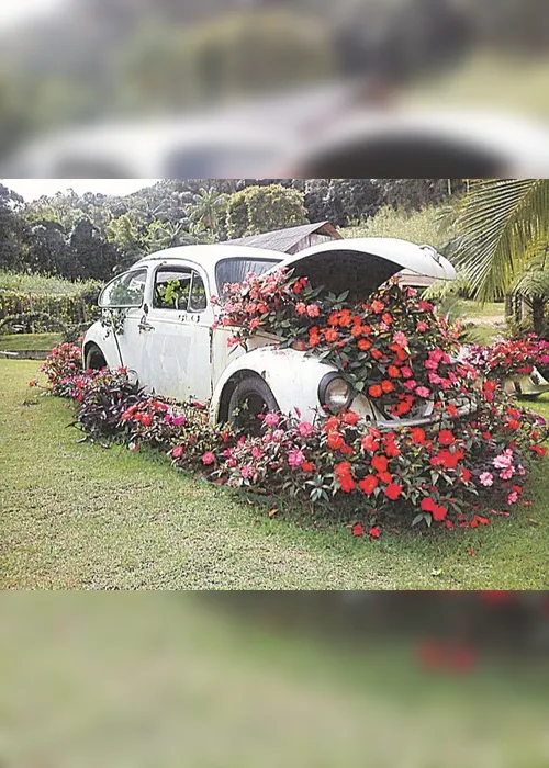 Imagem ilustrativa da imagem Fusca vira item de decoração