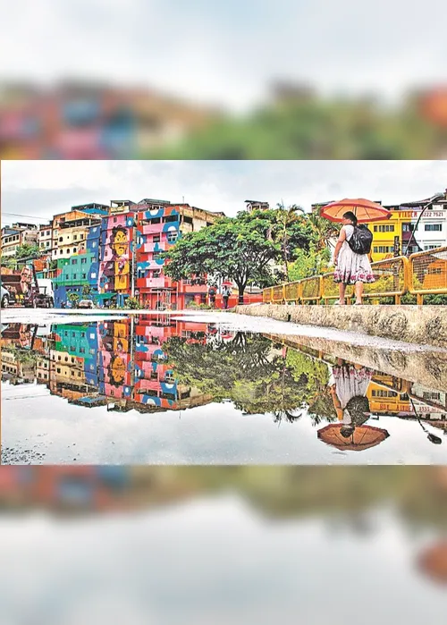 Imagem ilustrativa da imagem Meio ambiente, a “prioridade” que não dá voto