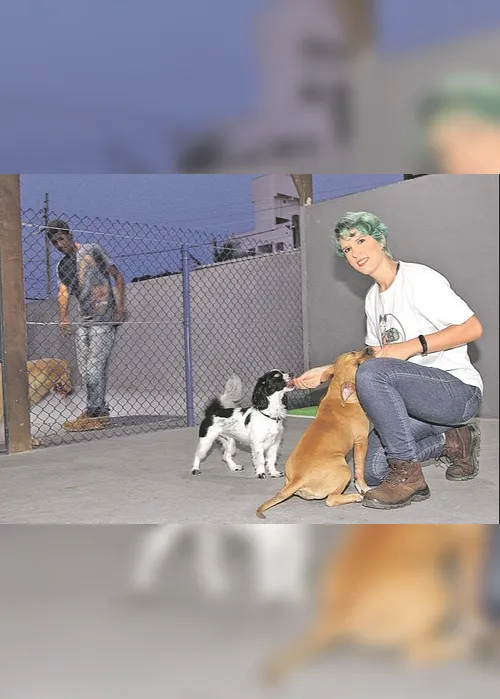 
          Imagem ilustrativa da imagem 60 cursos a distância para aprender nova profissão
          