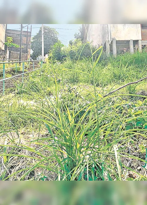 
          Imagem ilustrativa da imagem Ciclistas e pedestres em perigo
          