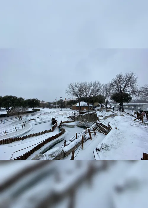 
          Imagem ilustrativa da imagem Capixabas em meio a nevasca relatam drama nos Estados Unidos: "Sem luz e comida"
          