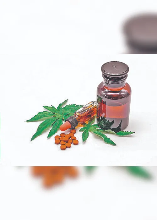 Imagem ilustrativa da imagem Novos remédios à base de maconha