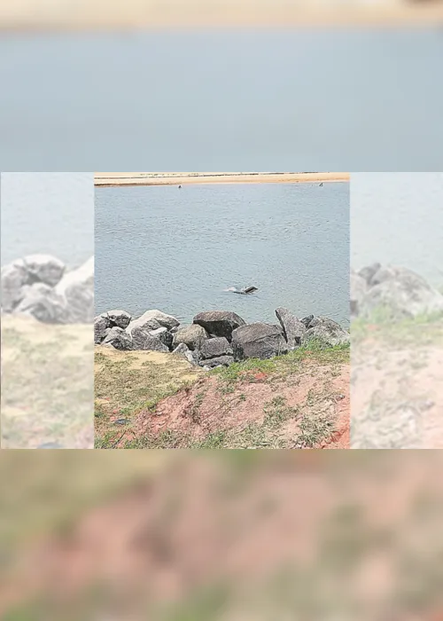 
          Imagem ilustrativa da imagem Sem proteção, carro cai em rio
          