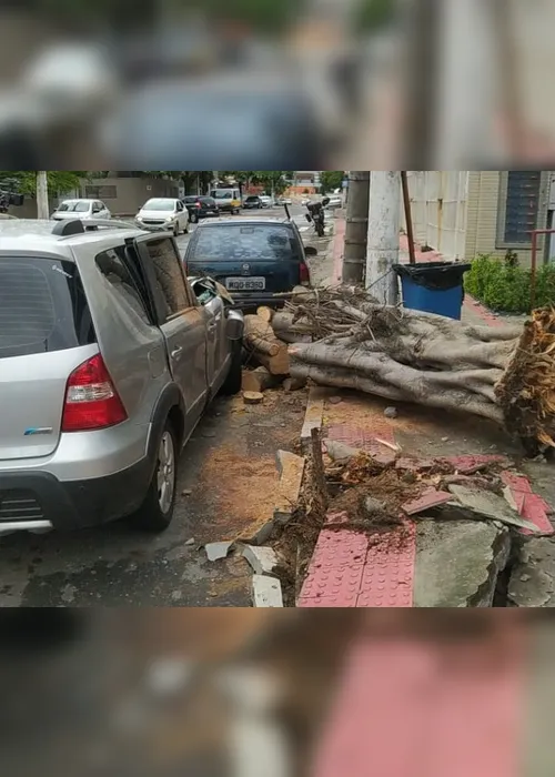 Imagem ilustrativa da imagem Vídeos | Transtornos e prejuízos após temporal em Vila Velha