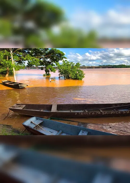 Imagem ilustrativa da imagem Rio Doce ultrapassa a cota de inundação em Linhares