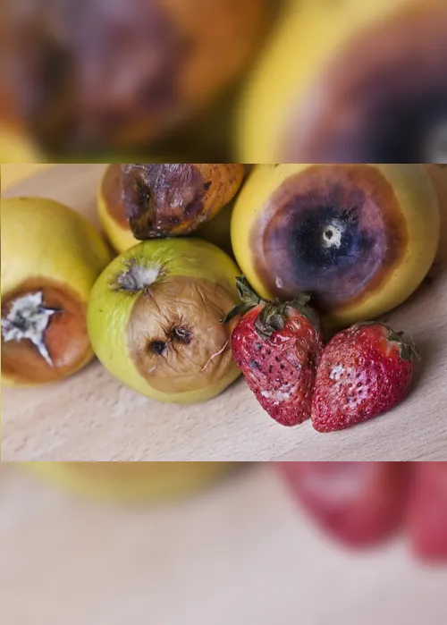 
          Imagem ilustrativa da imagem Queda de cabelo, cansaço, necessidade exagerada por doces? Você pode estar com síndrome fúngica
          