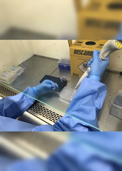 Imagem ilustrativa da imagem Estado tem a menor taxa de transmissão de coronavírus desde o início da pandemia