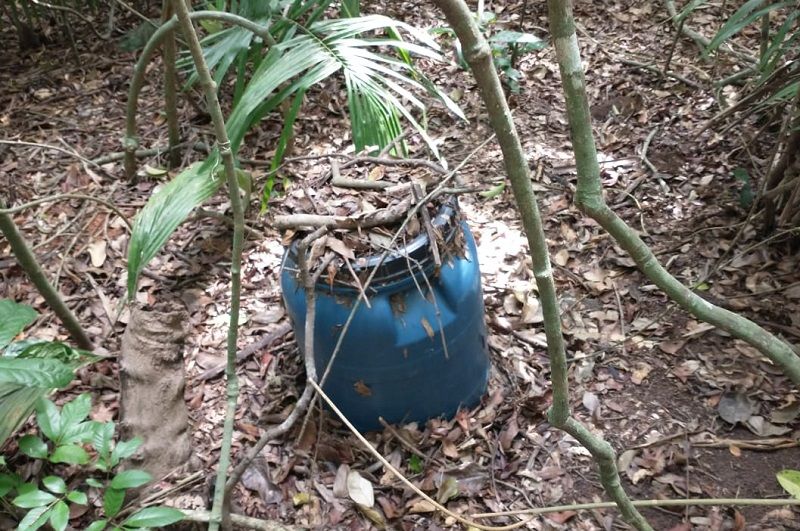 O tambor encontrado na região de mata (Foto: Divulgação/PM Ambiental)