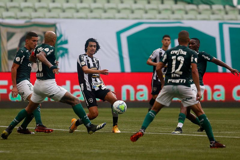Campeão da Copa Libertadores no último final de semana, o Palmeiras ficou no 1 a 1 no duelo contra o Botafogo (Foto: Vítor Silva/Botafogo)