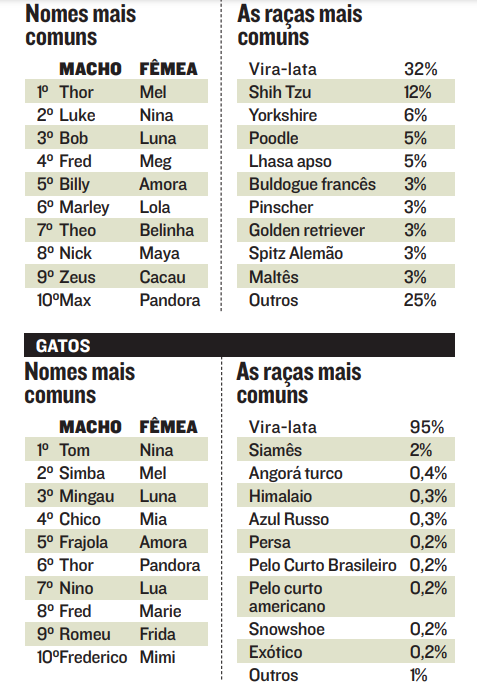 (Foto: Jornal A Tribuna)