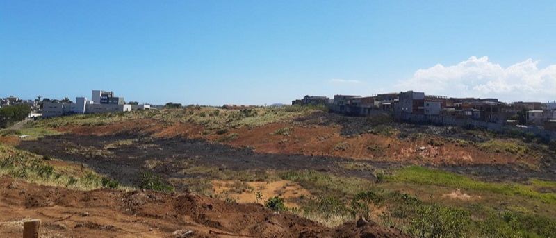 O fogo destruiu uma área equivalente a 10 campos de futebol em Guarapari (Foto: Roberta Bourguignon)