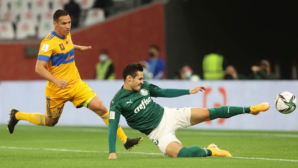 Palmeiras (Foto: Cesar Greco/ Palmeiras/ Divulgação)