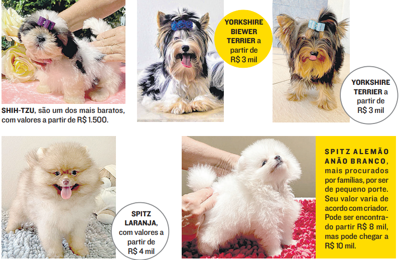 (Foto: Jornal A Tribuna)