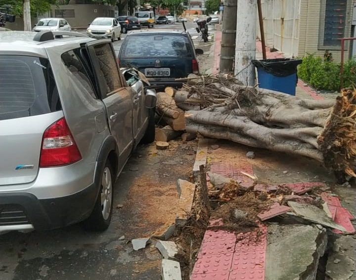 Em Itapoã, Vila Velha, uma árvore caiu em cima de um carro estacionado. (Foto: Internauta)