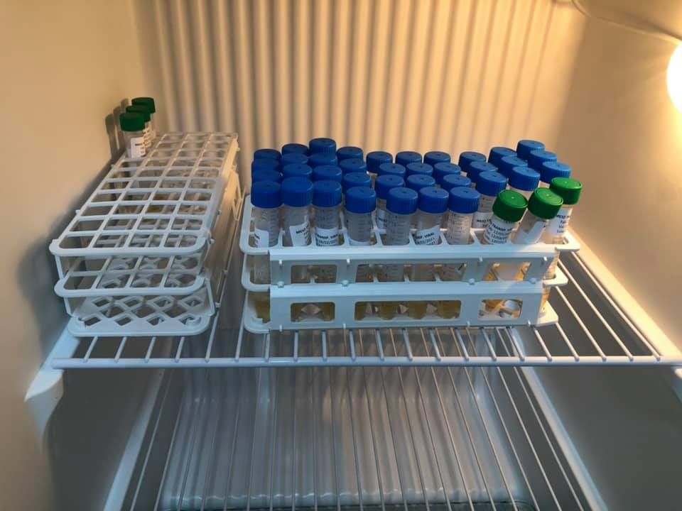 Kit de testes contra o coronavírus foram perdidos (Foto: Reprodução/ Facebook Prefeitura de Rio Bananal)