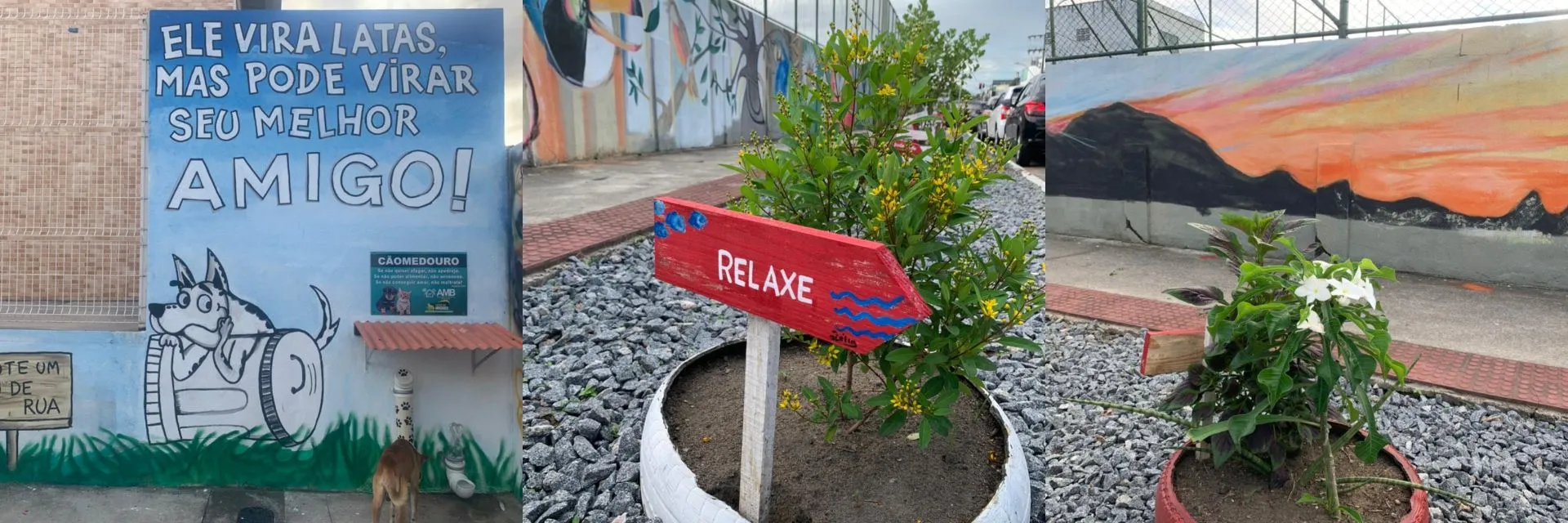Imagem ilustrativa da imagem Moradores criam jardim com espaço para alimentar animais de rua na Serra